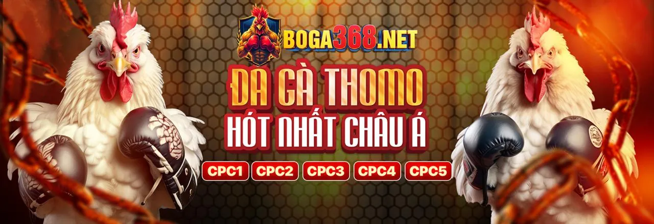 Khuyến mãi chào mừng thành viên mới one88co win