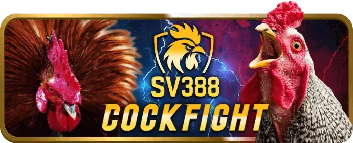 Quyền riêng tư của người dùng one88co win